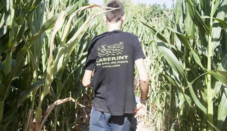 Laberint de blat de moro a Castellserà