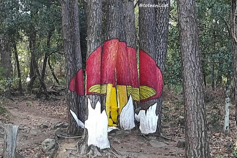 El bosc pintat de Poblet, ruta micològica amb nens