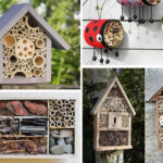 Hotels d’insectes per augmentar la biodiversitat