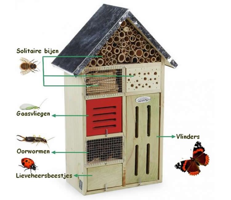 Hotels d'insectes per augmentar la biodiversitat