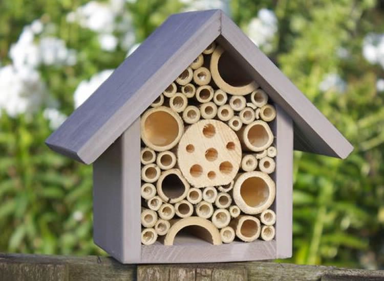 Hotels d'insectes per augmentar la biodiversitat