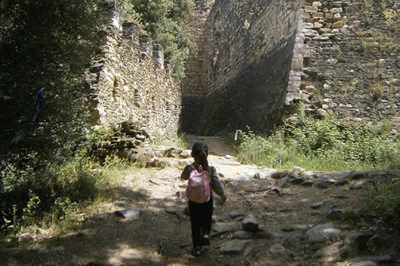 Castell de Montclus