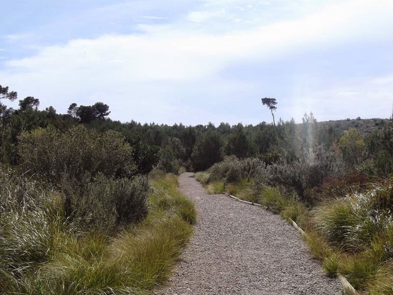 Itinerari botànic de la Pleta al Parc del Garraf