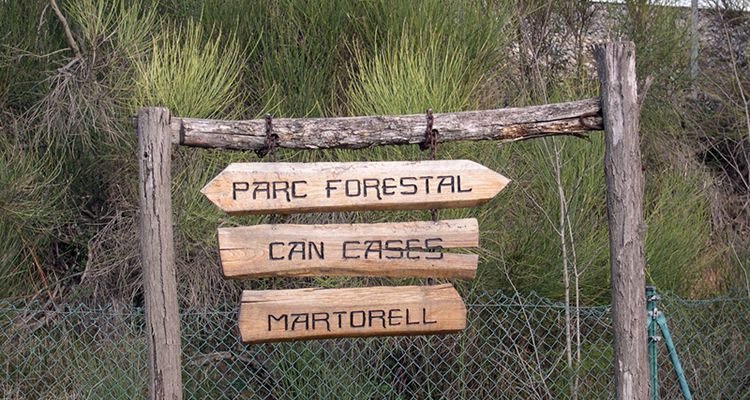 Parc Forestal de Can Cases de Martorell