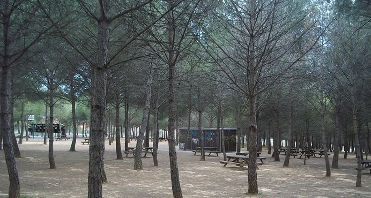 Parc Forestal de Can Cases de Martorell