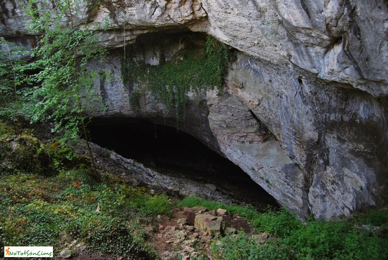 Cova de Gel a Gavet de la Conca