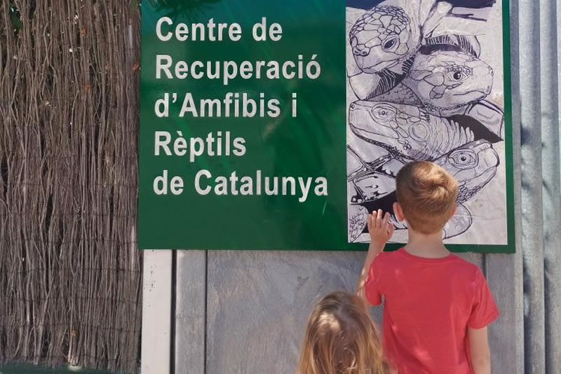 CRARC, Centre de Recuperació d’Amfibis i Rèptils de Catalunya