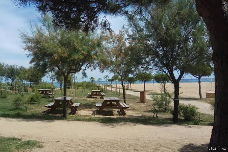 Àrea de pícnic Rial de la Serp a Arenys de Mar