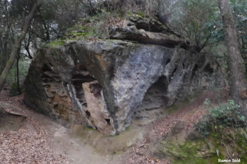 roca del Queixal Corcat