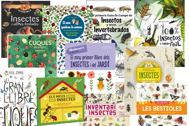 11 guies i llibres d’insectes per a nens