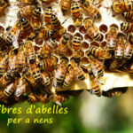 llibres d abelles i mel per a nens