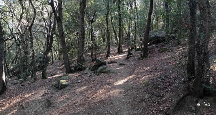 roca foradada Vallromanes