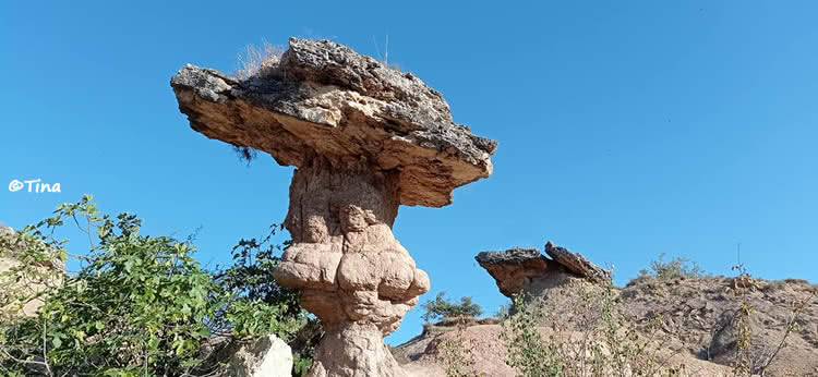 Roca del bolet de Figuerola d'Orcau