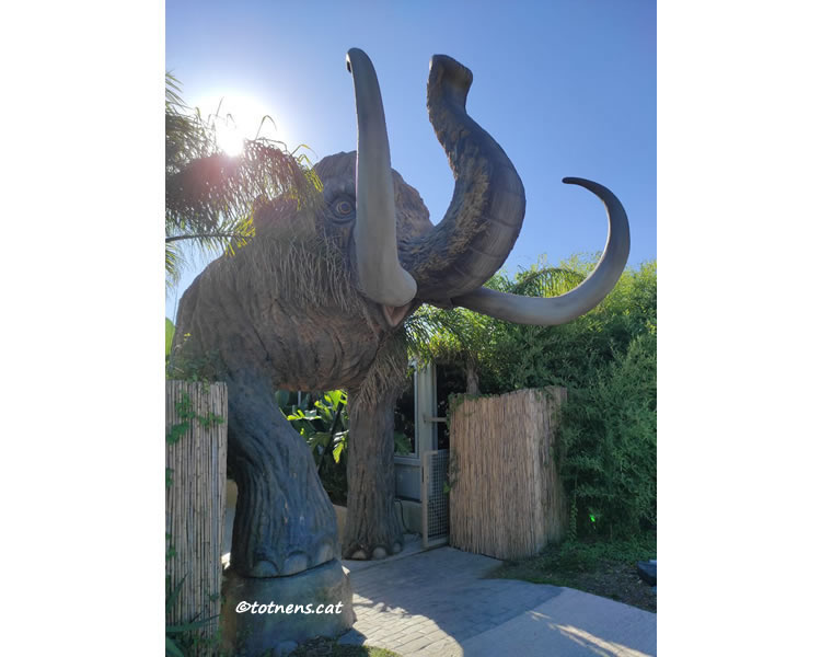 el mamut Platja de la Murta de Viladecans