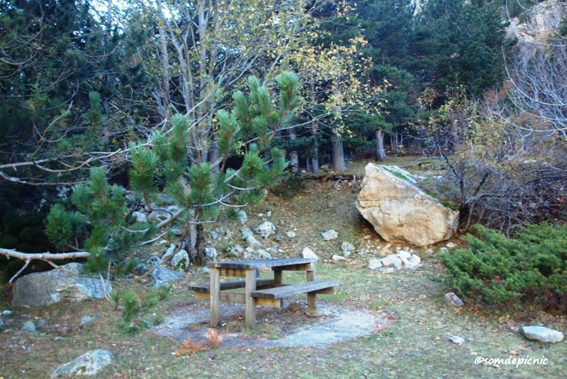 Àrees de pícnic de l'Alta Ribagorça