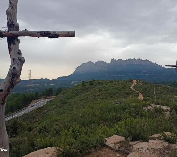 Bosc de les creus