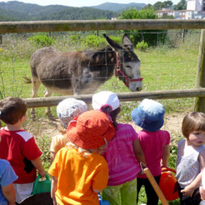 visita granja can coll collserola
