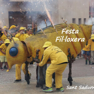Sant Sadurní d’Anoia, és coneguda per ser un referent en l’elaboració de cava i escumosos, també ofereix activitats d’aquest àmbit per a tota la família. La Capital del Cava convida a les famílies i als infants a descobrir-la amb experiències gratificants i educatives. Des de les visites familiars a les caves, fins al ric patrimoni industrial, passant per jocs i rutes culturals, centres de visites vivencials, i els paisatges de vinyes. Vine a descobrir Sant Sadurní d'Anoia en família.