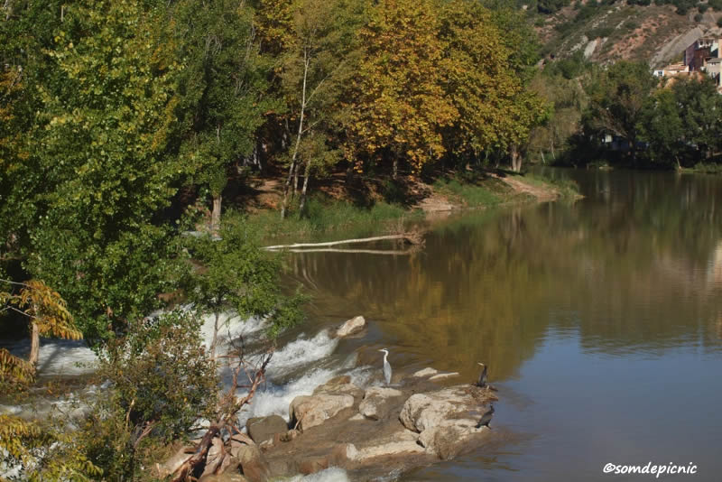 Itinerari ambiental del riu Cardener a Súria