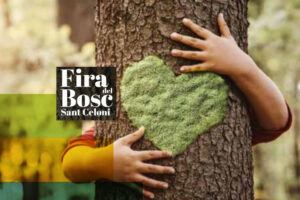Fira del Bosc de Sant Celoni
