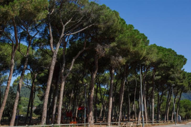 Parc del pinetons de La Garriga