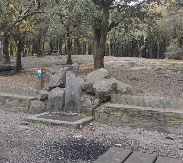 area d'esplai de la plana del Coll