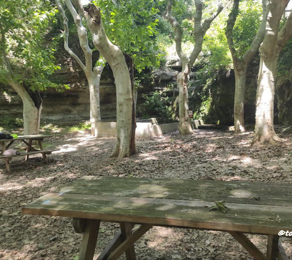 Font de la Cura a Navarcles
