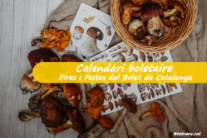 Calendari boletaire, fires i festes del bolet