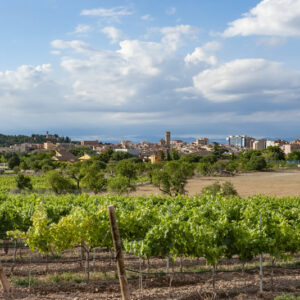 itineraris naturals de Tàrrega