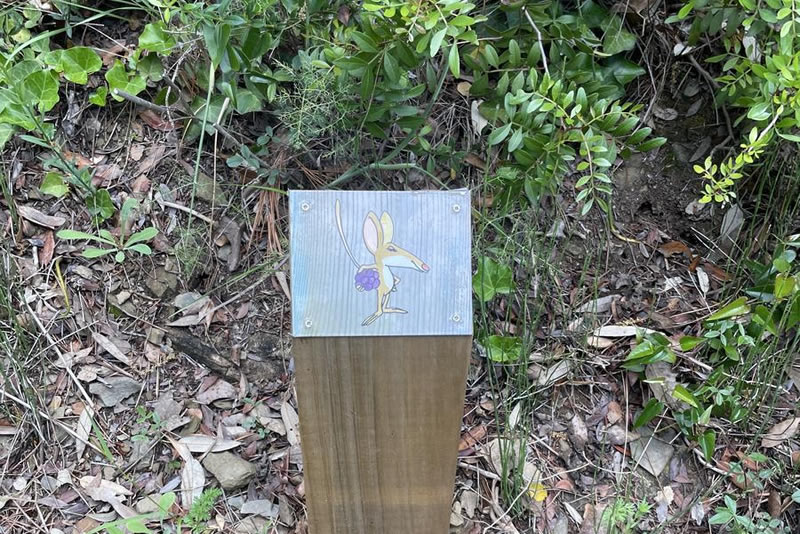 Ruta del ratolí Fermí a Alcover