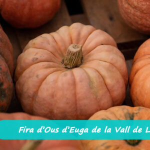 Fira d’Ous d’Euga de Sant Llorenç de Morunys