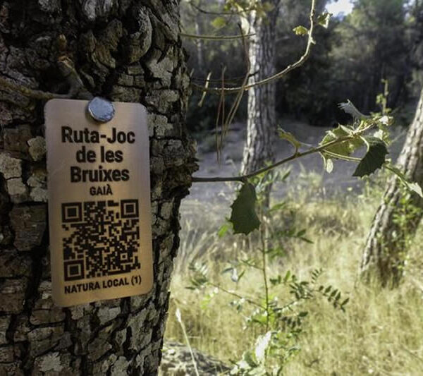 Ruta de les bruixes del Gaià