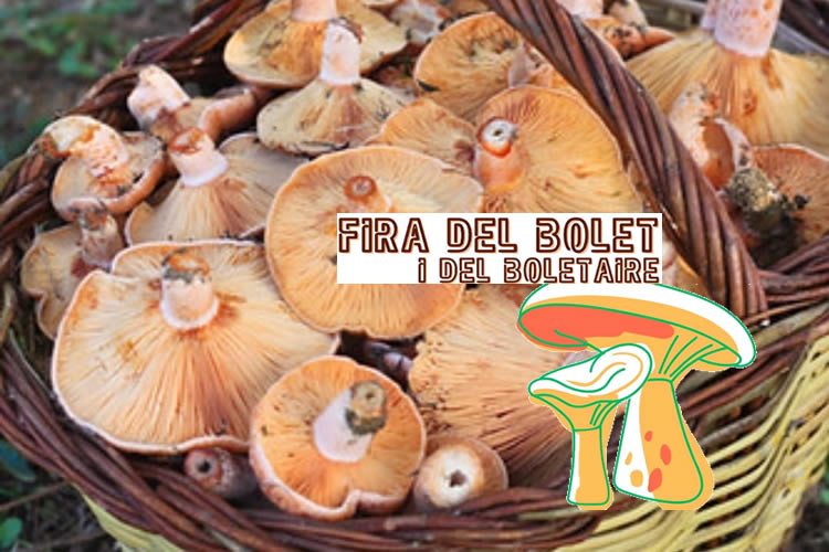 Fira del bolet i del boletaire