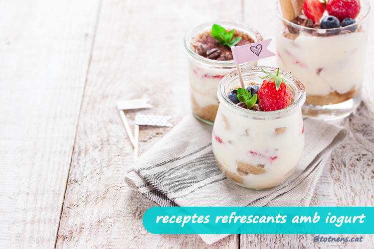 Receptes refrescants amb iogurt