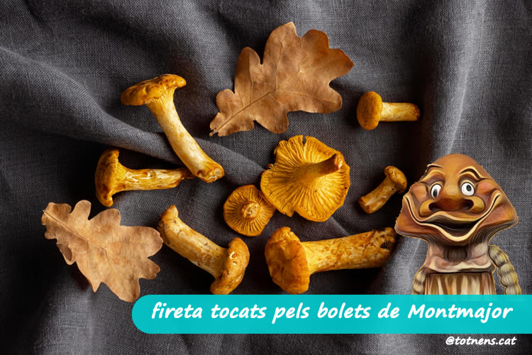 Fireta Tocats dels Bolets