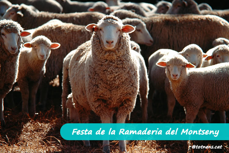Festa de la Ramaderia del Montseny